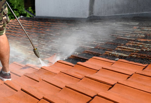 Best Commercial Pressure Washing  in Boyne City, MI