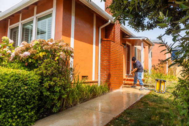 Best Pressure Washing Company Near Me  in Boyne City, MI